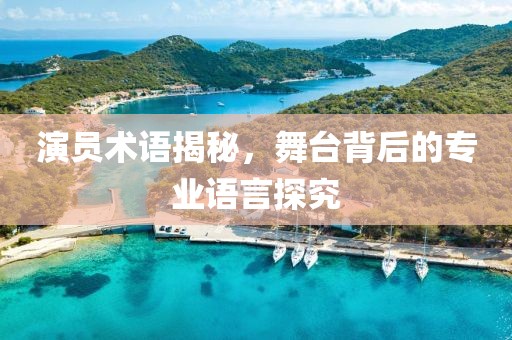 演員術(shù)語揭秘，舞臺(tái)背后的專業(yè)語言探究