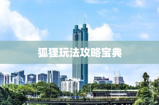 狐貍玩法攻略寶典