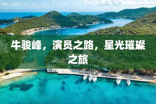 牛駿峰，演員之路，星光璀璨之旅
