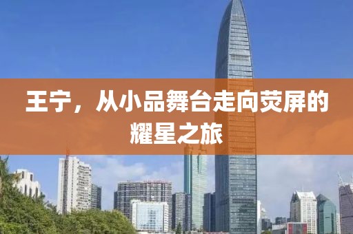王寧，從小品舞臺(tái)走向熒屏的耀星之旅