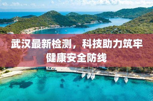 武漢最新檢測(cè)，科技助力筑牢健康安全防線