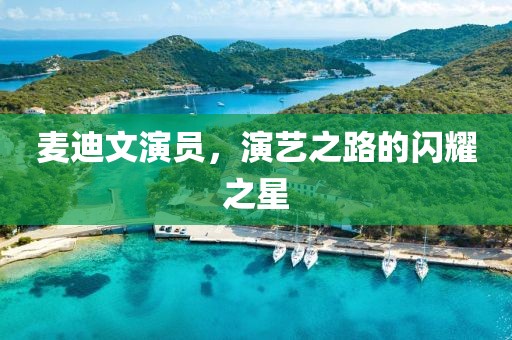 麥迪文演員，演藝之路的閃耀之星