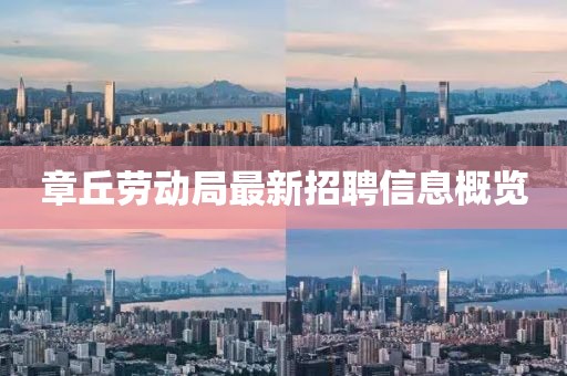 章丘勞動(dòng)局最新招聘信息概覽