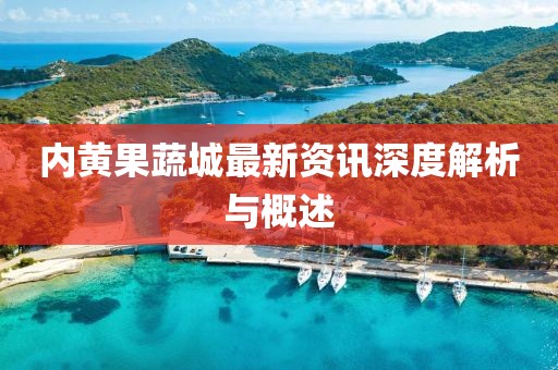 內黃果蔬城最新資訊深度解析與概述