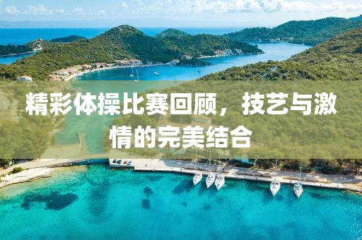 精彩體操比賽回顧，技藝與激情的完美結(jié)合