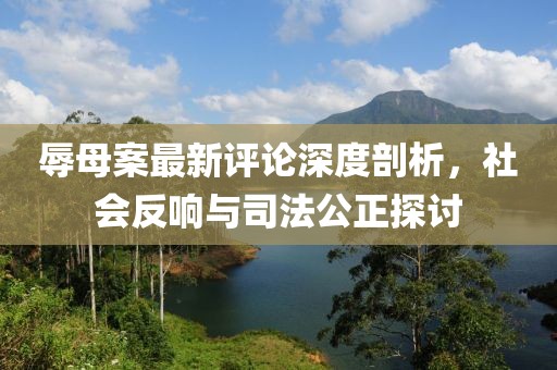 辱母案最新評論深度剖析，社會反響與司法公正探討