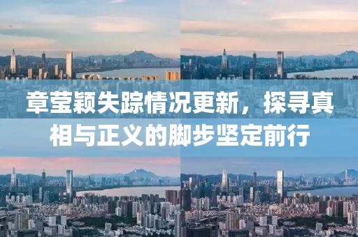 章瑩穎失蹤情況更新，探尋真相與正義的腳步堅(jiān)定前行