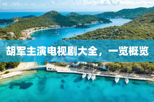 胡軍主演電視劇大全，一覽概覽