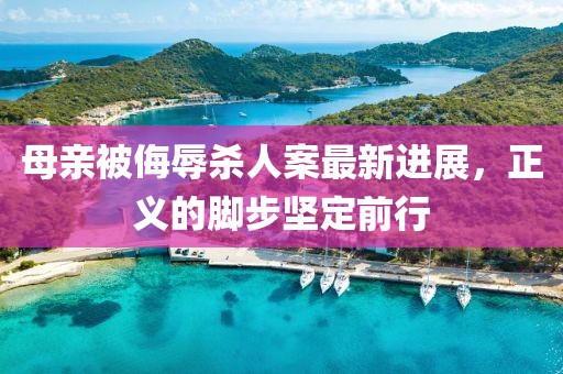母親被侮辱殺人案最新進(jìn)展，正義的腳步堅定前行