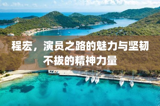 程宏，演員之路的魅力與堅(jiān)韌不拔的精神力量