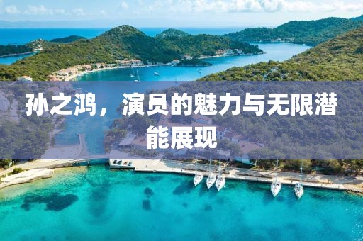 孫之鴻，演員的魅力與無限潛能展現(xiàn)