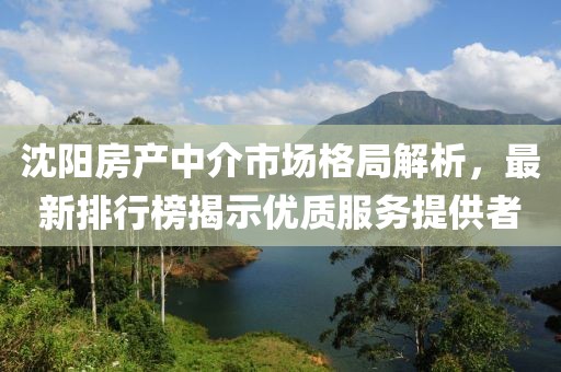 沈陽房產中介市場格局解析，最新排行榜揭示優(yōu)質服務提供者