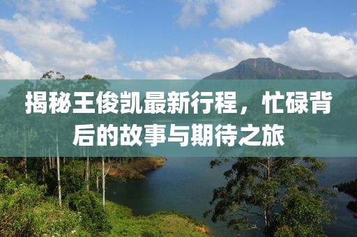 揭秘王俊凱最新行程，忙碌背后的故事與期待之旅