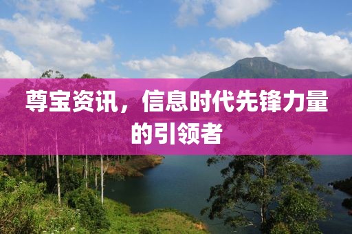 尊寶資訊，信息時(shí)代先鋒力量的引領(lǐng)者