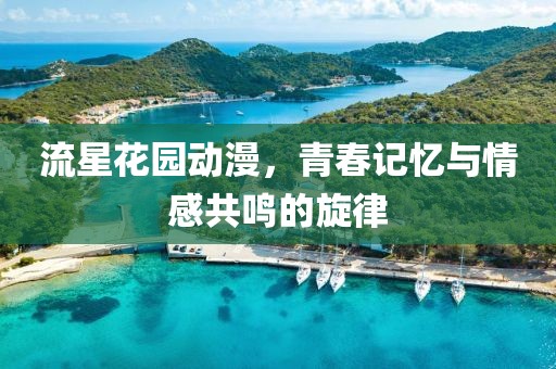 流星花園動漫，青春記憶與情感共鳴的旋律