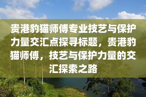 貴港豹貓師傅專業(yè)技藝與保護(hù)力量交匯點(diǎn)探尋標(biāo)題，貴港豹貓師傅，技藝與保護(hù)力量的交匯探索之路