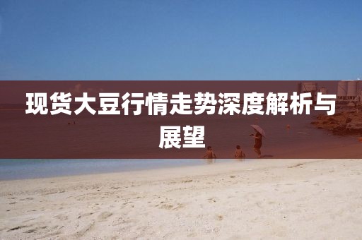 現(xiàn)貨大豆行情走勢深度解析與展望