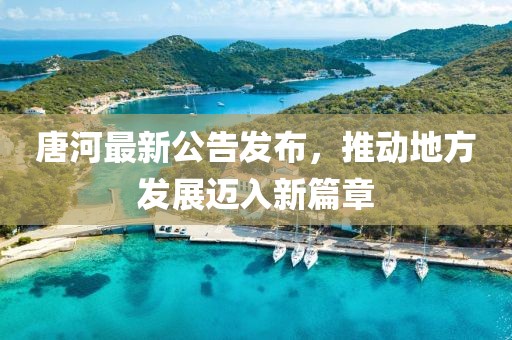 唐河最新公告發(fā)布，推動地方發(fā)展邁入新篇章