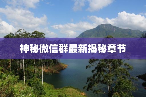 神秘微信群最新揭秘章節(jié)