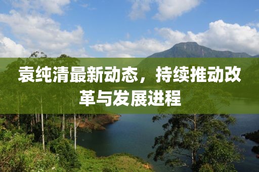 袁純清最新動(dòng)態(tài)，持續(xù)推動(dòng)改革與發(fā)展進(jìn)程