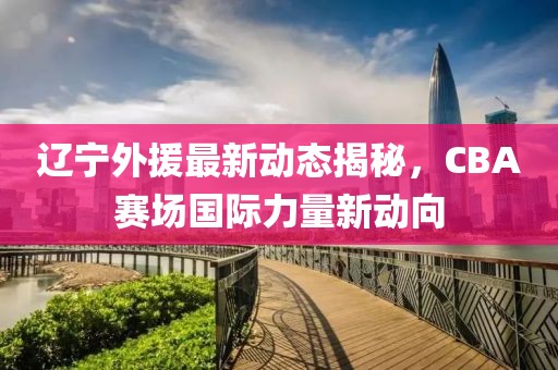 遼寧外援最新動態(tài)揭秘，CBA賽場國際力量新動向