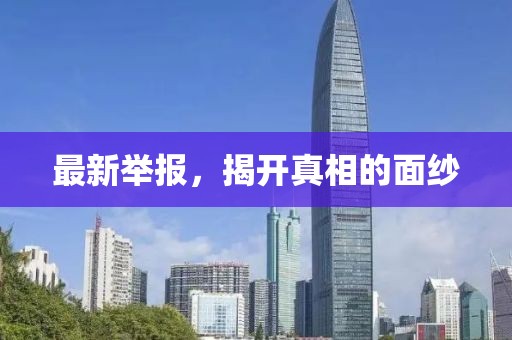 最新舉報(bào)，揭開(kāi)真相的面紗