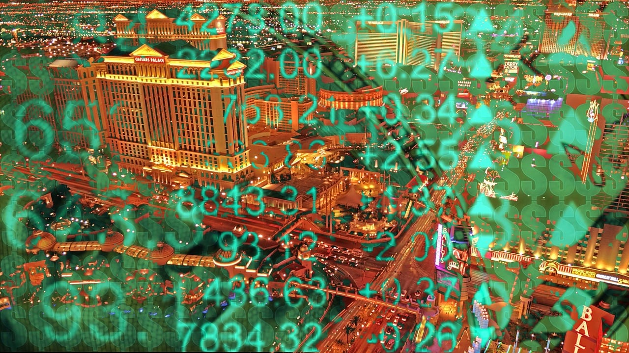 羽絨市場(chǎng)最新動(dòng)態(tài)揭秘，趨勢(shì)、機(jī)遇與挑戰(zhàn)并存