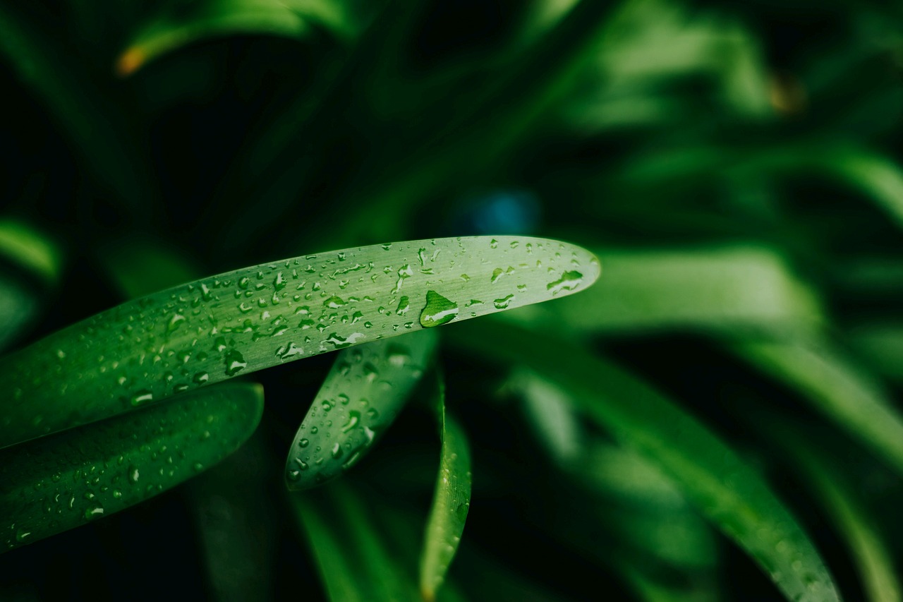 探索生物信息學(xué)的未來，生信前沿動態(tài)與無限潛力