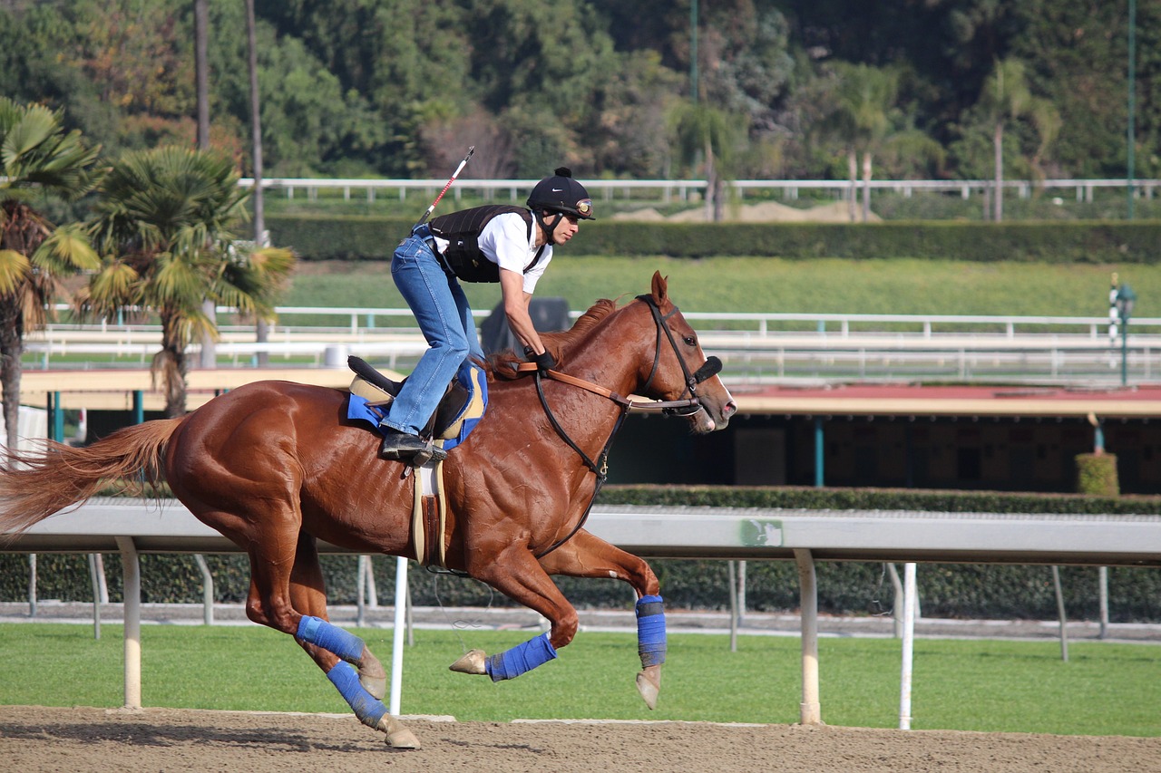 2024澳門特馬今晚開-艷冠群芳890.578