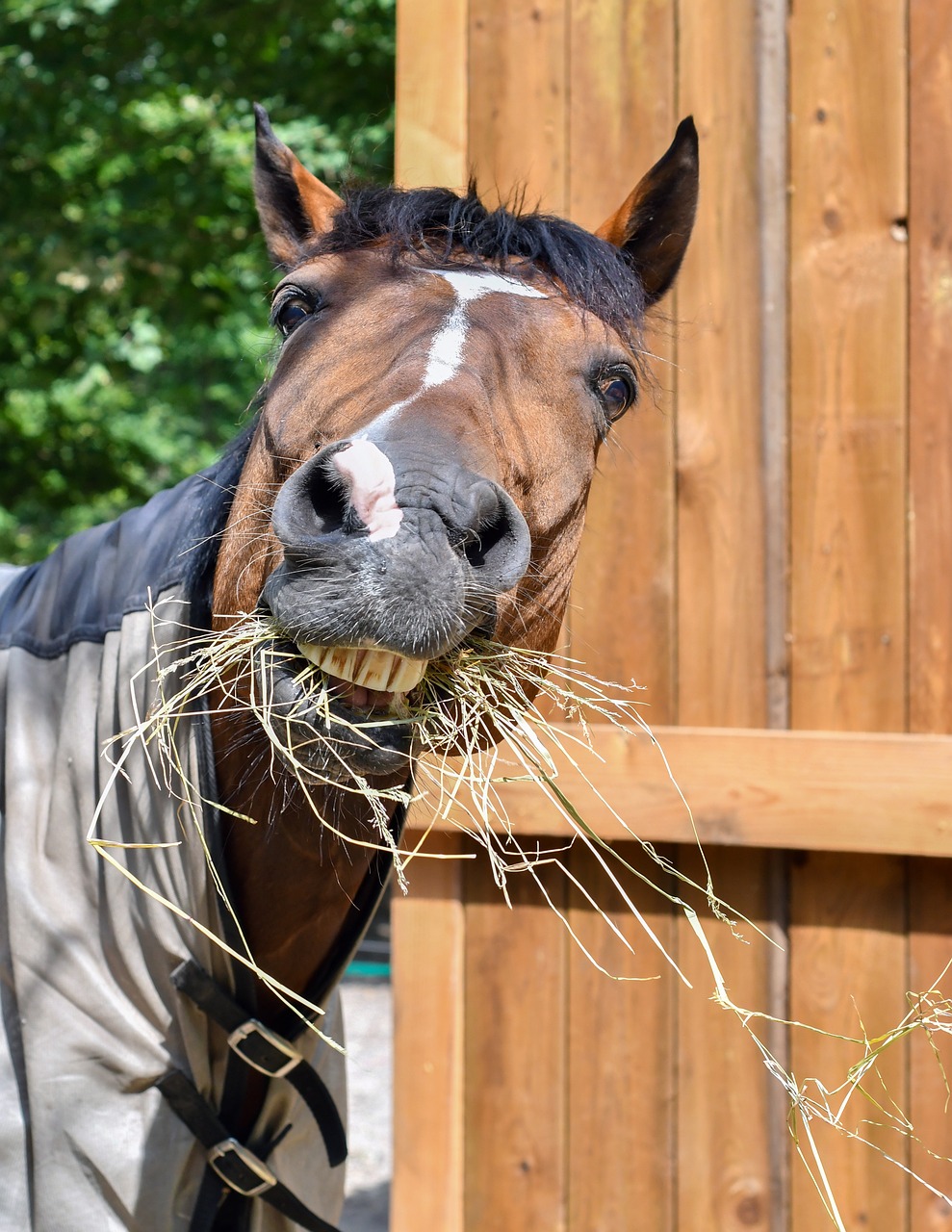 2024澳門特馬今晚開獎56期的，漂亮的854.096