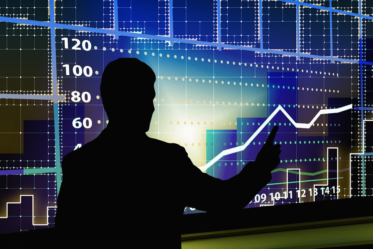貂皮行情走勢深度解析，趨勢分析與預測
