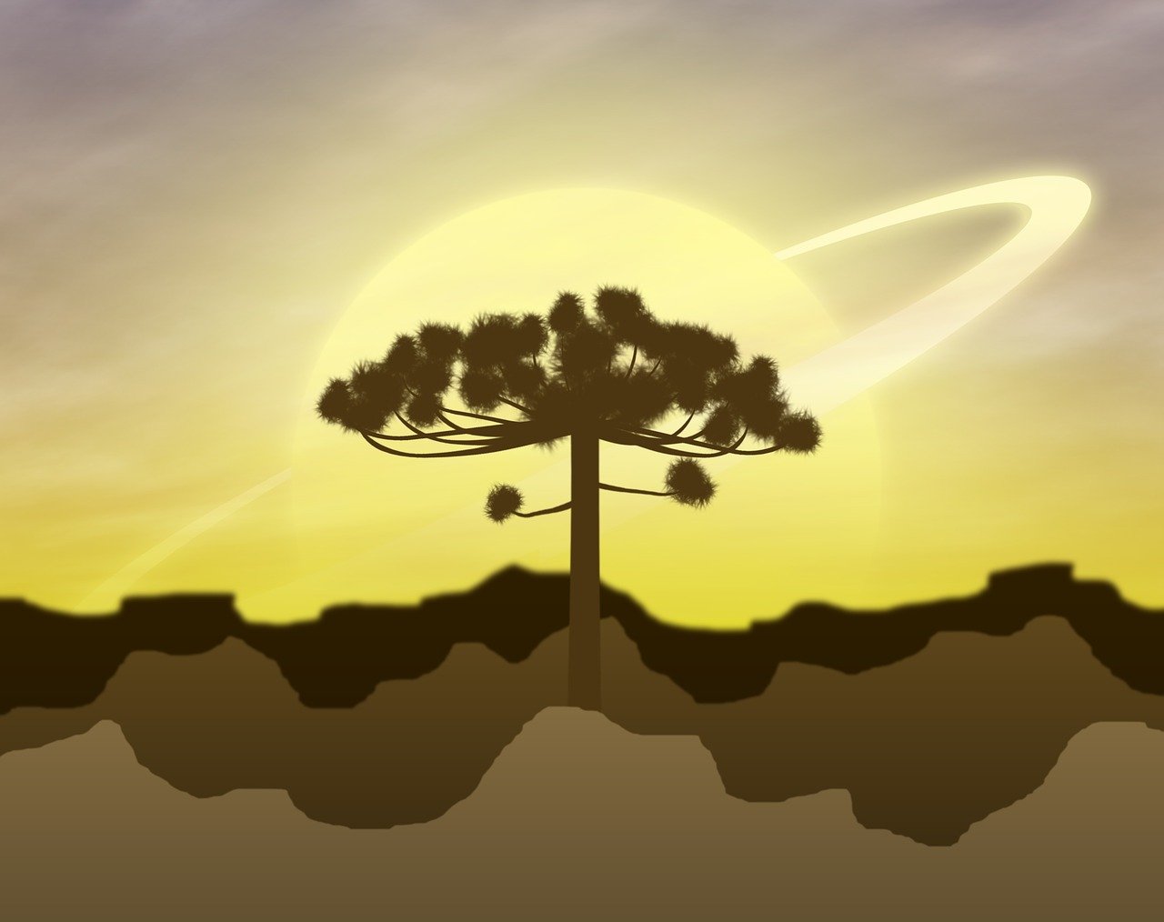 Mad動(dòng)漫，從紙片到屏幕的奇幻之旅
