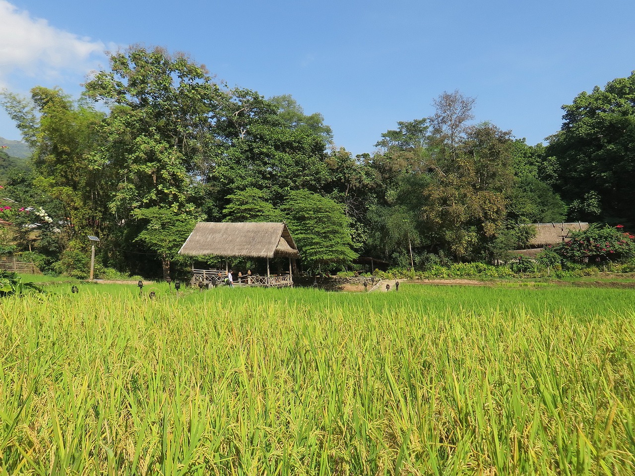 臨夏縣土橋鎮(zhèn)最新風(fēng)景圖，展現(xiàn)鄉(xiāng)村魅力的新畫卷