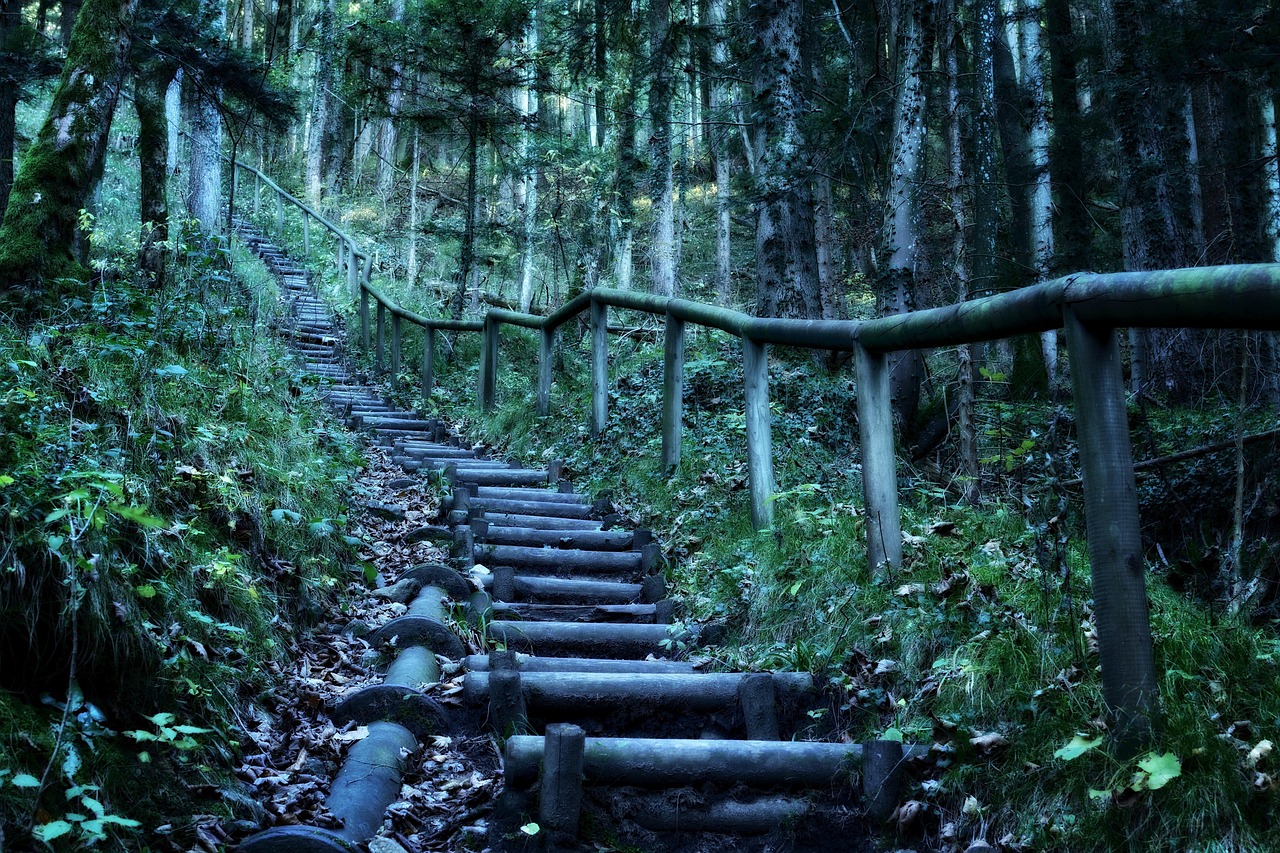 探尋神秘世界的奇幻之旅，花間高手最新章節(jié)免費(fèi)閱讀
