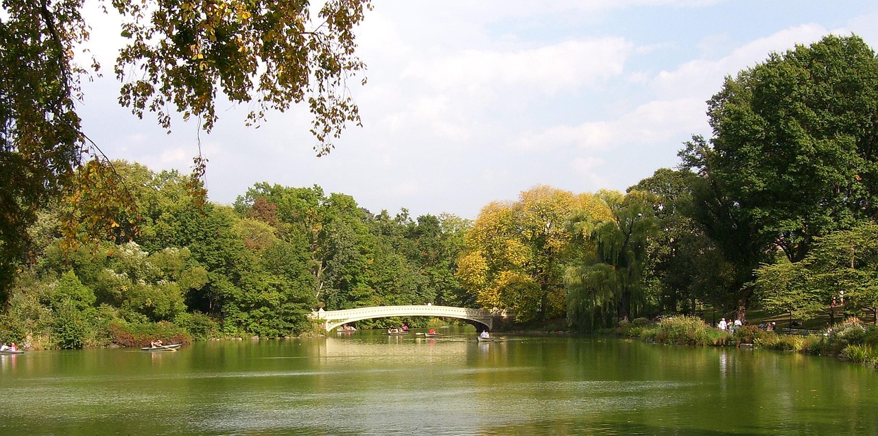 賈汪中央公園房?jī)r(jià)行情深度解析