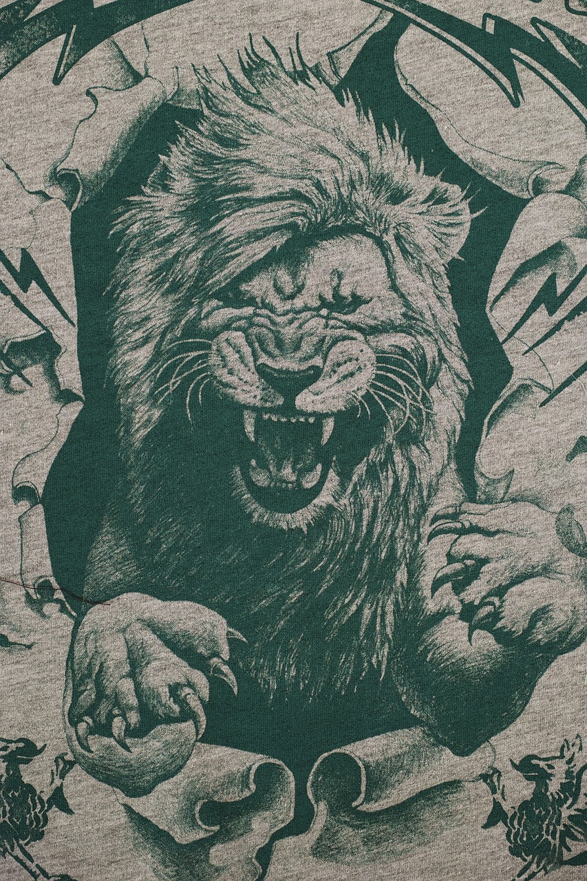 QQ動漫頭像，男生的獨(dú)特選擇與個性表達(dá)——男生動漫頭像精選