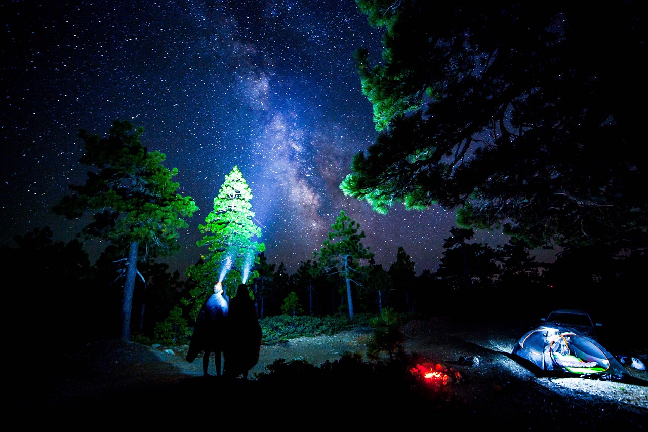 璀璨文體明星，照亮文化天空的星辰之光