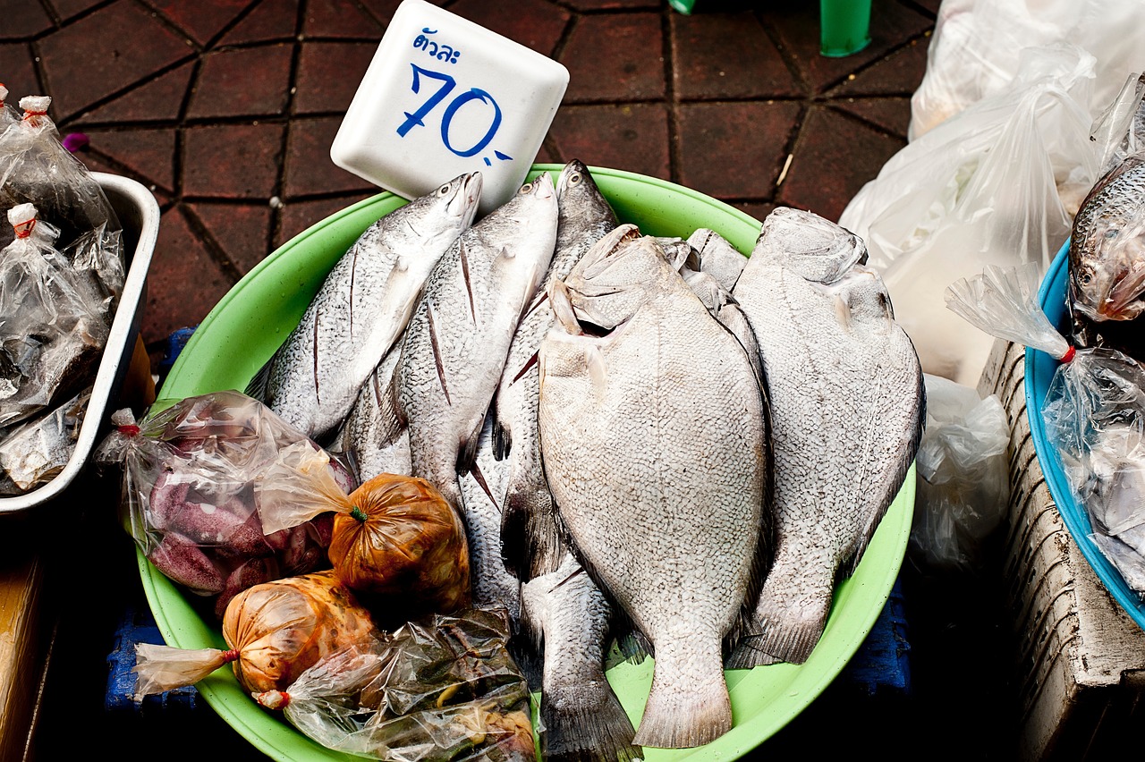 白鮰魚(yú)價(jià)格分析，市場(chǎng)走勢(shì)與影響因素探討