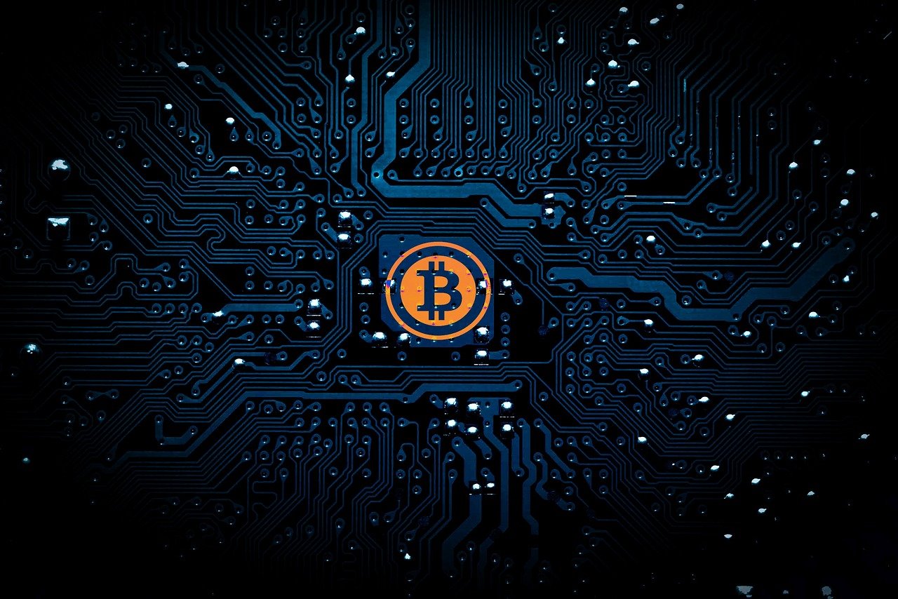 楊文娜，演員之路的閃耀之星