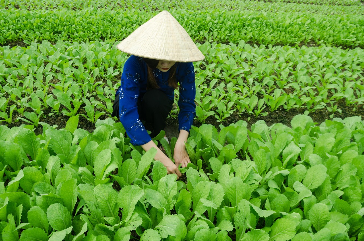 長春超市兌付最新進(jìn)展，最新動(dòng)態(tài)更新