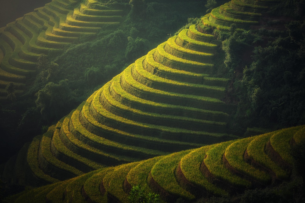 海鹽發(fā)展前沿動態(tài)揭秘，最新產(chǎn)業(yè)動向與發(fā)展探索