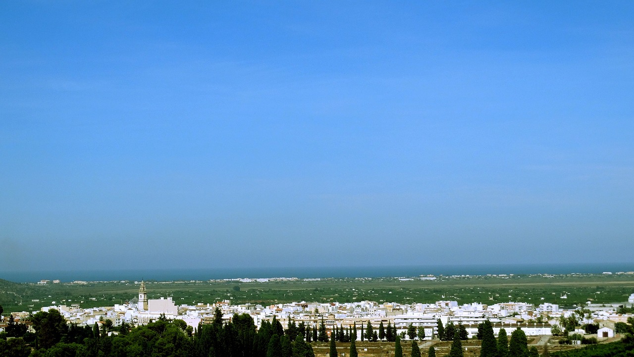 Ziz新動態(tài)，探索未知，引領未來之旅