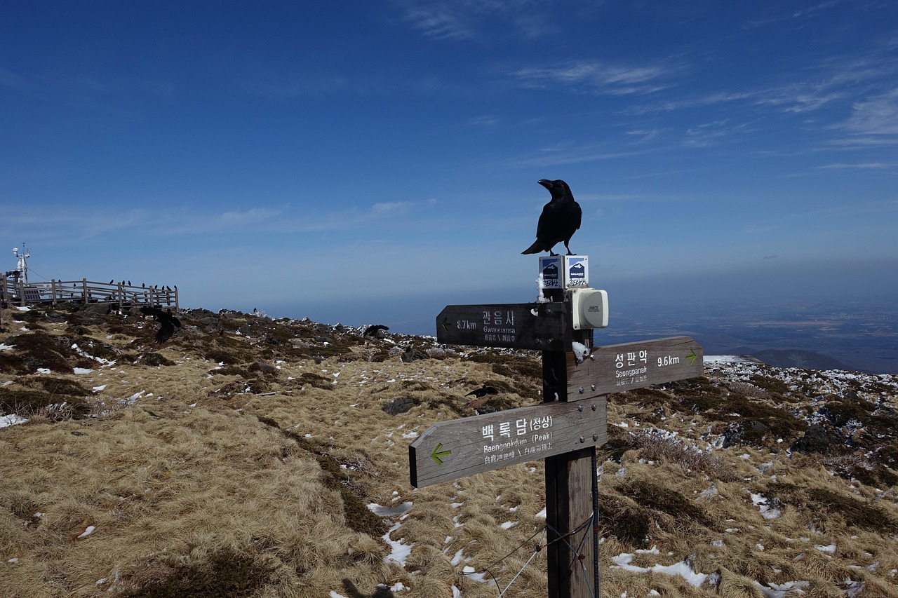 韓國(guó)電影K8，探索之旅與啟示之路