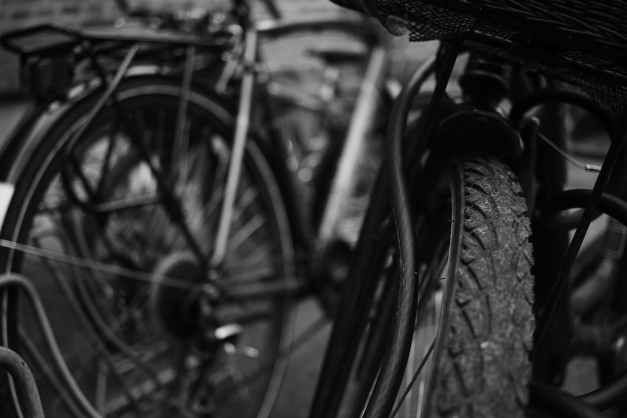 雙人自行車價格與圖片概覽，全面解析雙人自行車市場行情及圖片展示