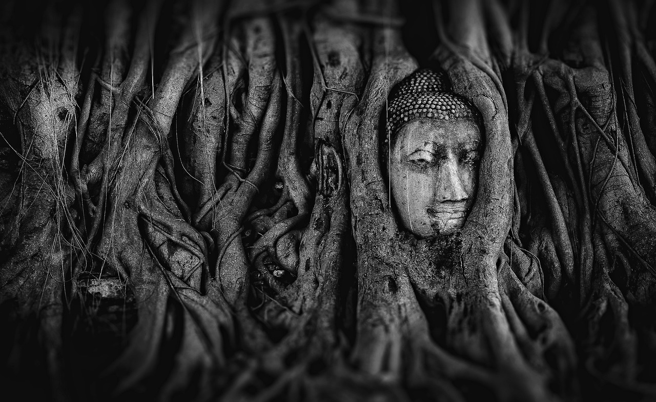 神明動(dòng)漫，神秘世界奇幻探索之旅