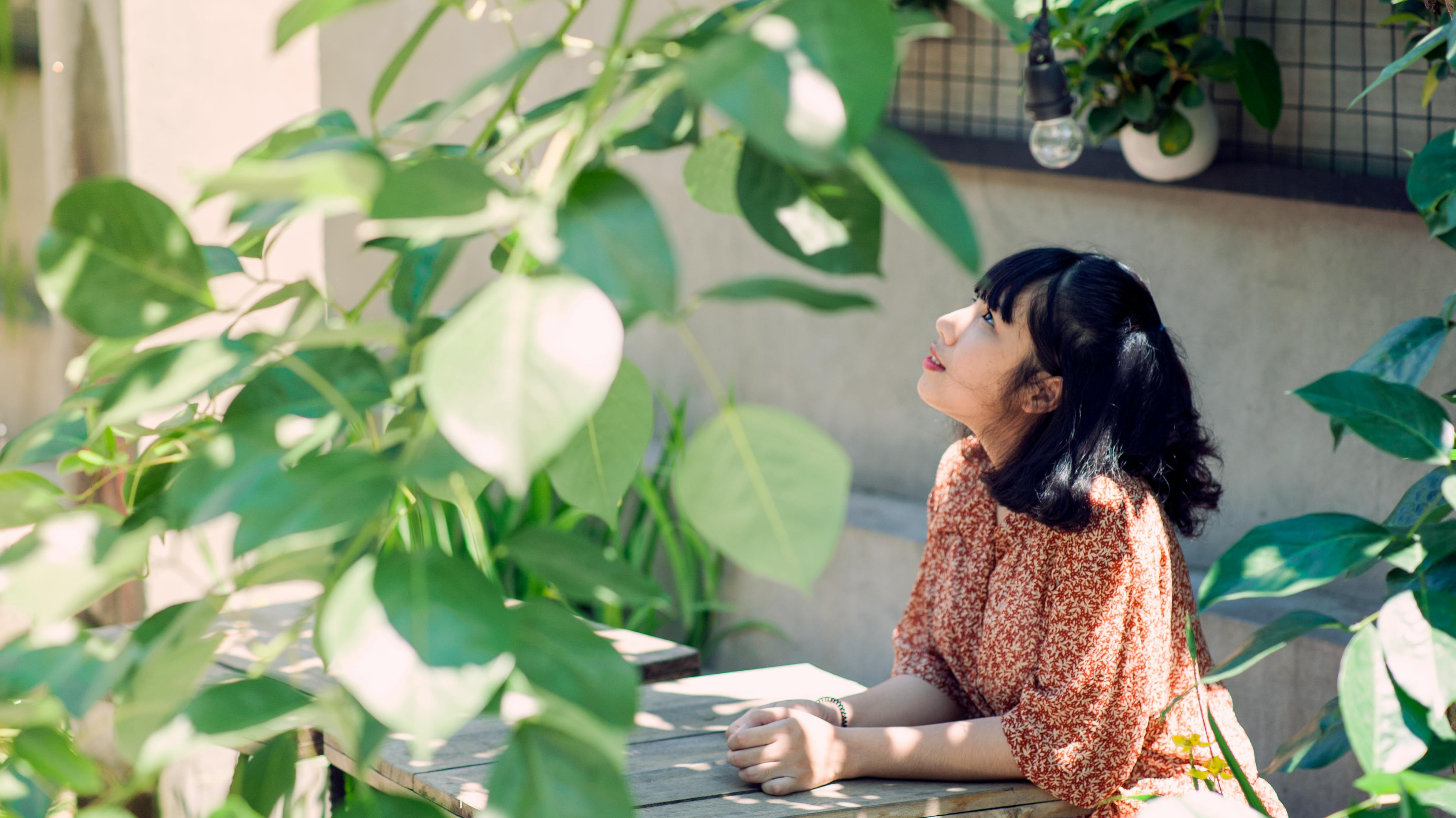 我就是這般女子，展現(xiàn)女性獨立與堅韌的電視劇之旅