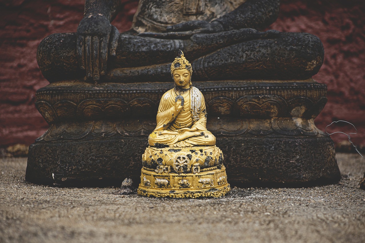外國演員曹操，跨界之旅與藝術(shù)人生的多維探索